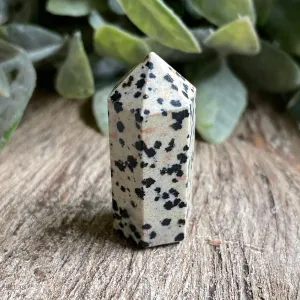 Dalmatian Jasper Pointed Wand