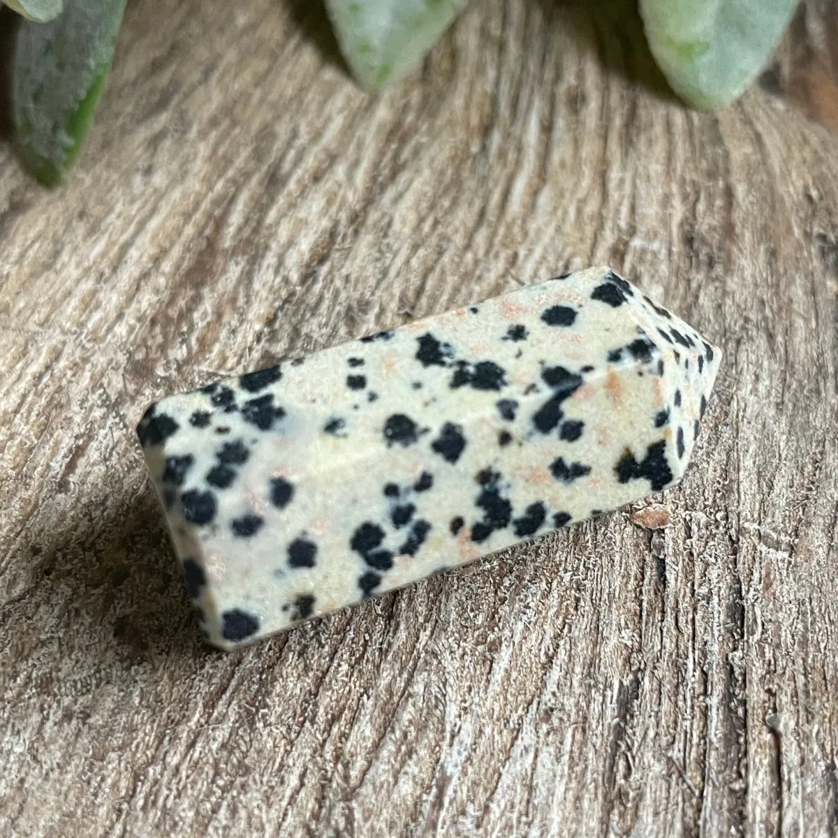 Dalmatian Jasper Pointed Wand