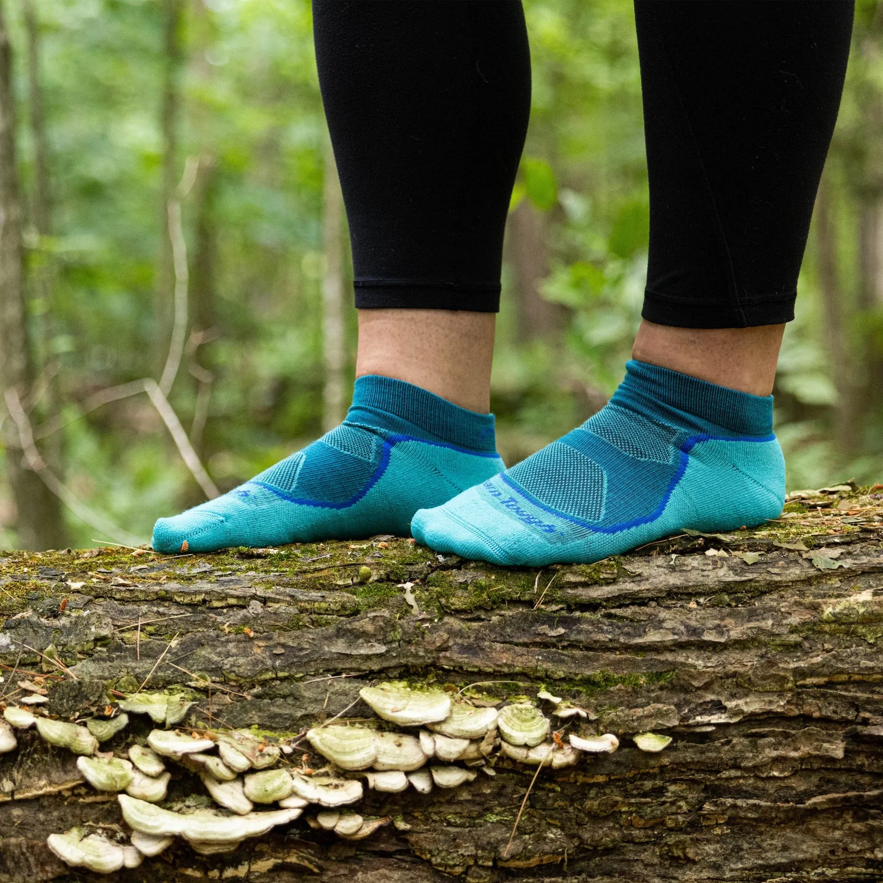 Light Hiker No Show Lightweight Hiking Sock w/ Cushion (Women's) - D1986W