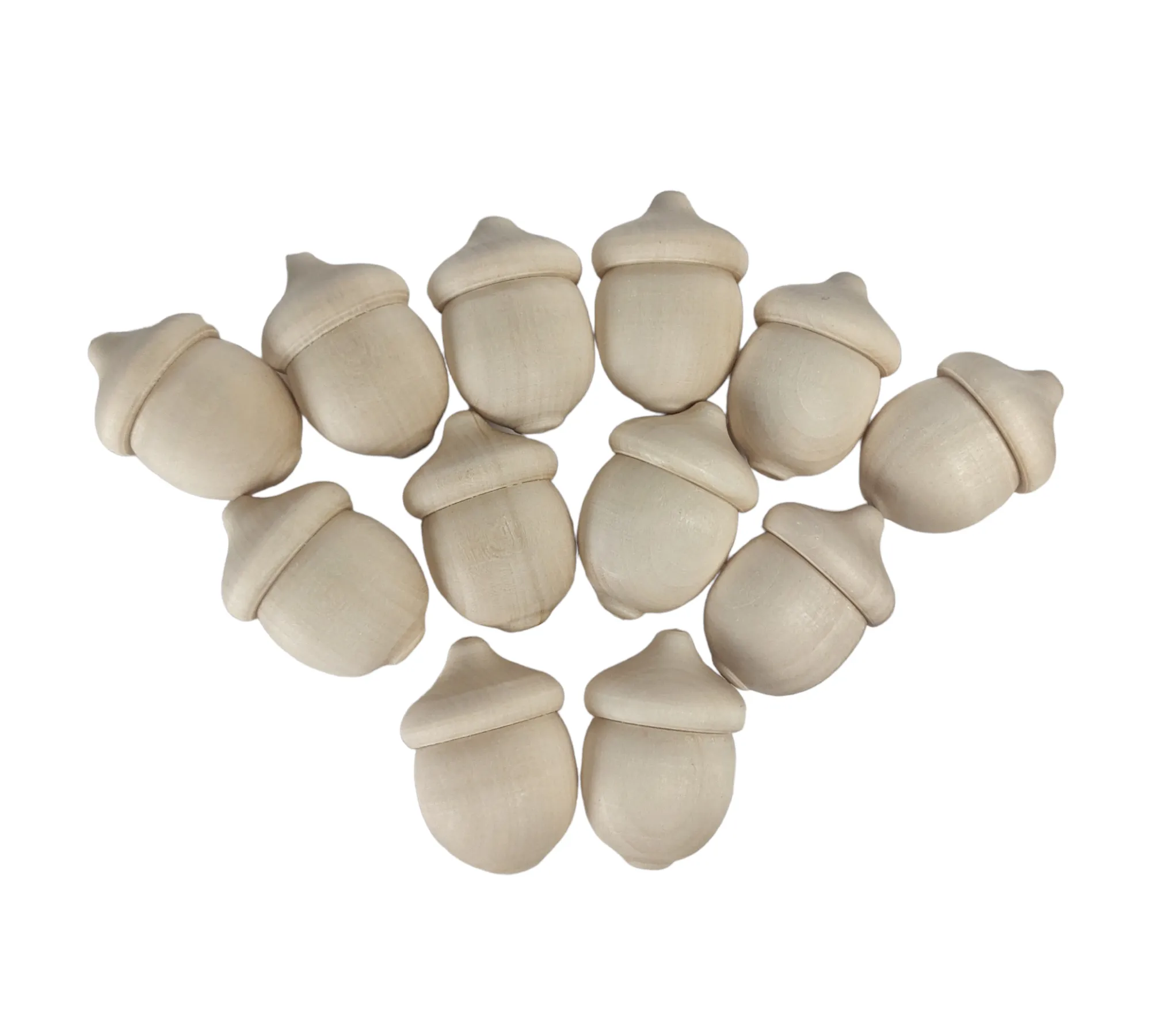 Mini Acorns - 12 pieces